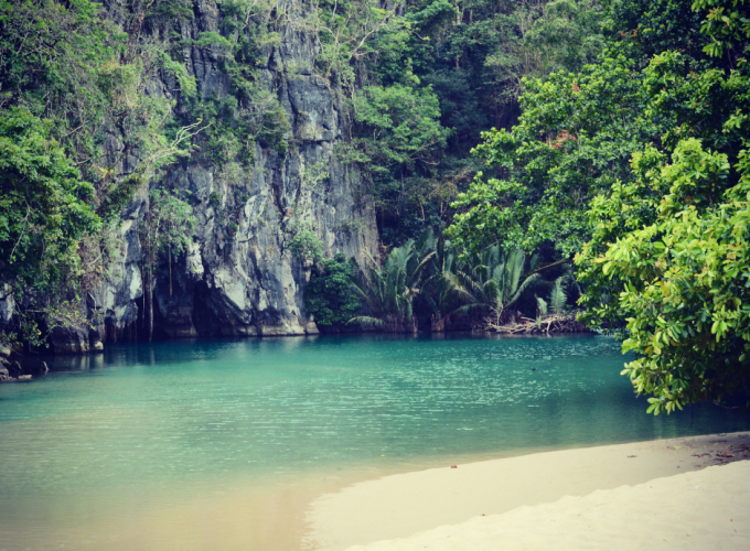 Puerto Princesa Tour Package (Acacia Tree Garden)